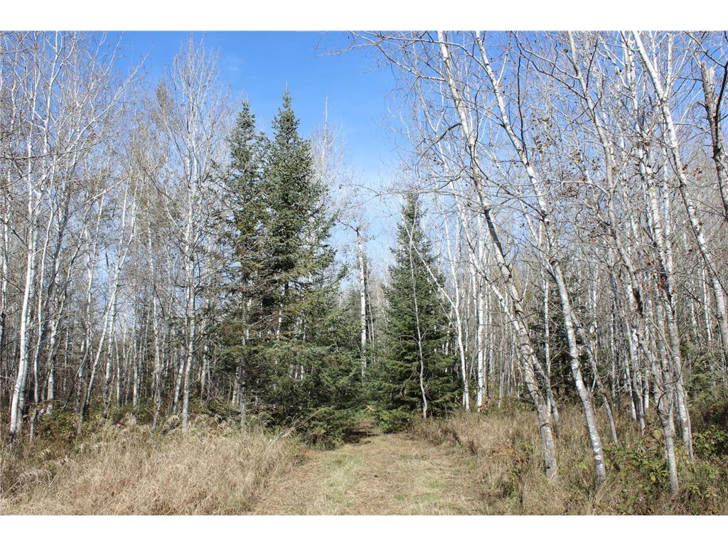 XXX State Highway 72 Keil Twp MN 56623 6445886 image1