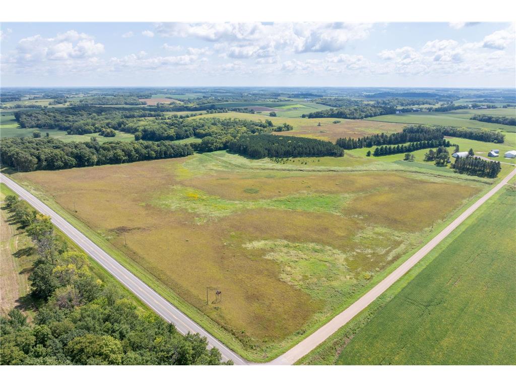 XXX State Highway 99 Montgomery MN 56069 6783254 image3