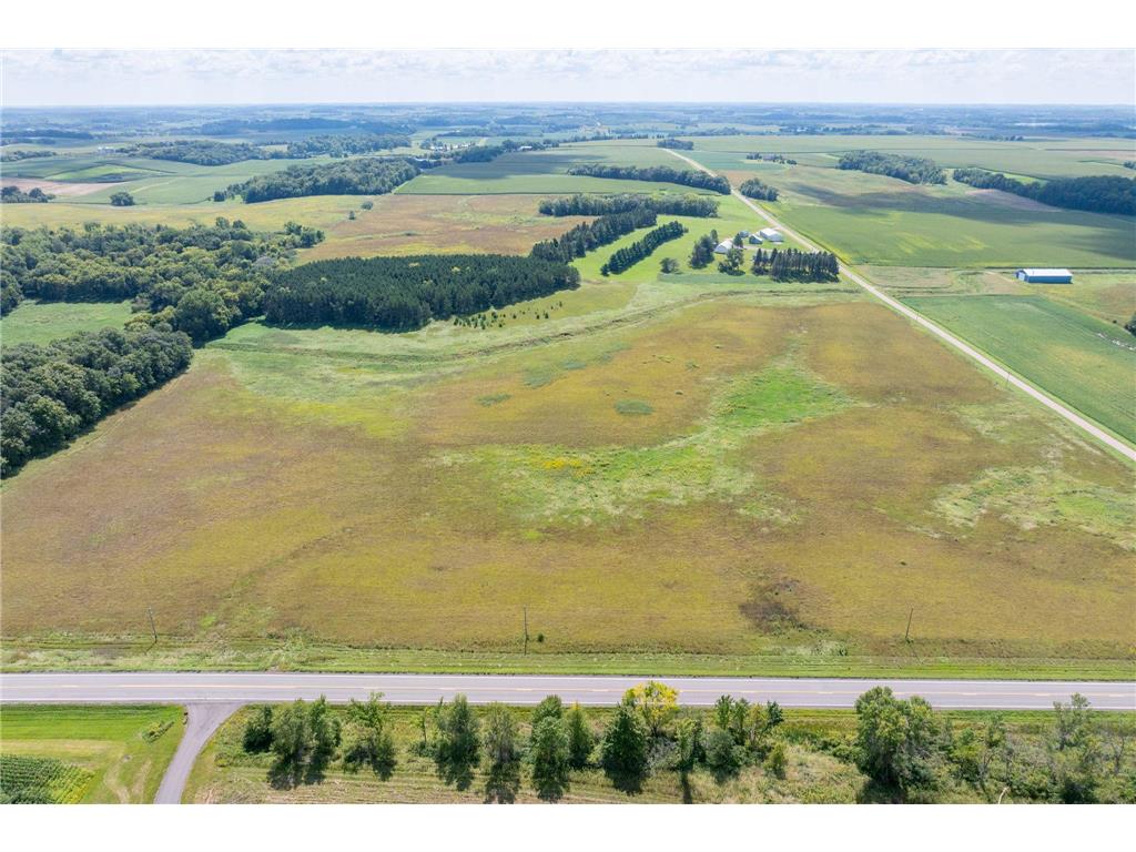 XXX State Highway 99 Montgomery MN 56069 6783254 image4