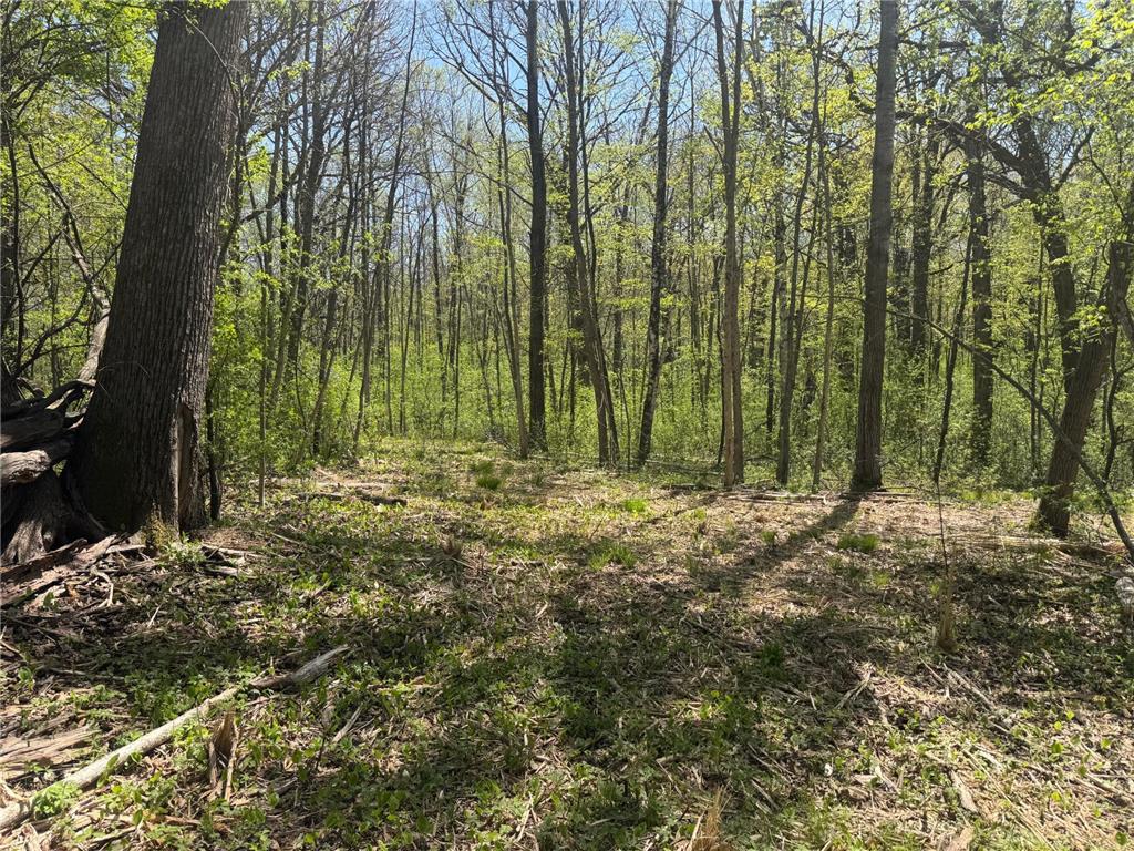 XXX State Hwy 46 Balsam Lake WI 54810 7095488 image1