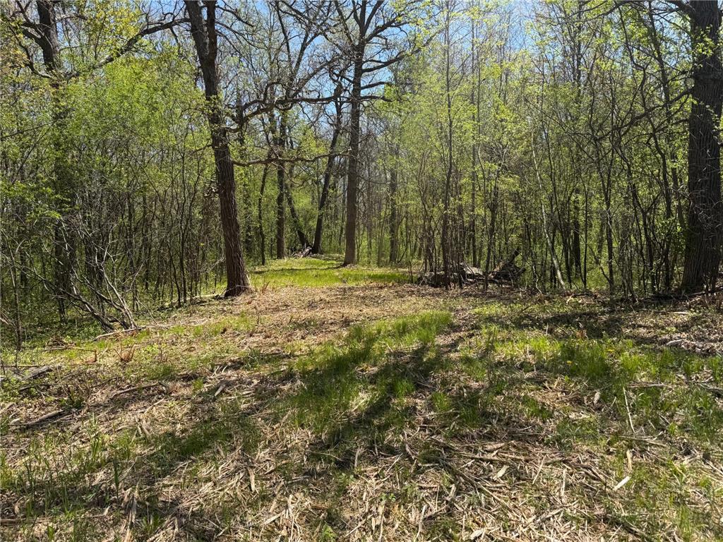 XXX State Hwy 46 Balsam Lake WI 54810 7095488 image3