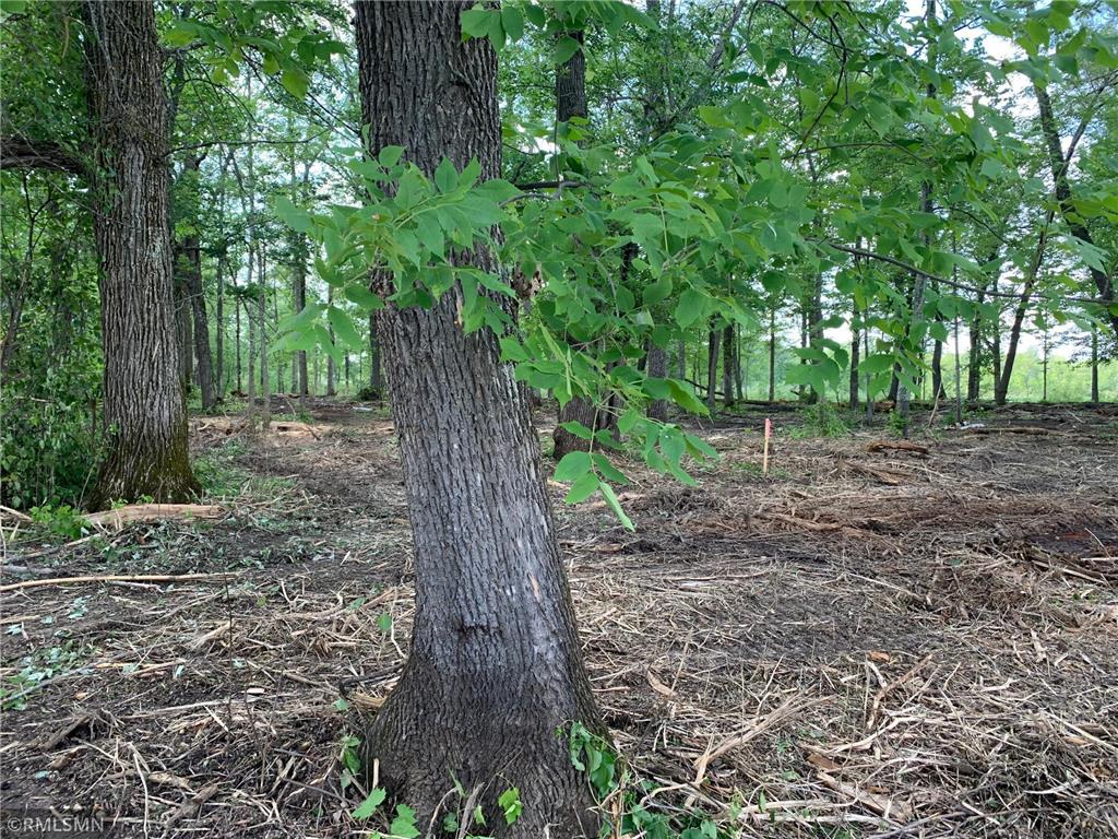 XXX State Hwy 65 Mcgregor MN 55760 - Big Sandy 6395735 image1