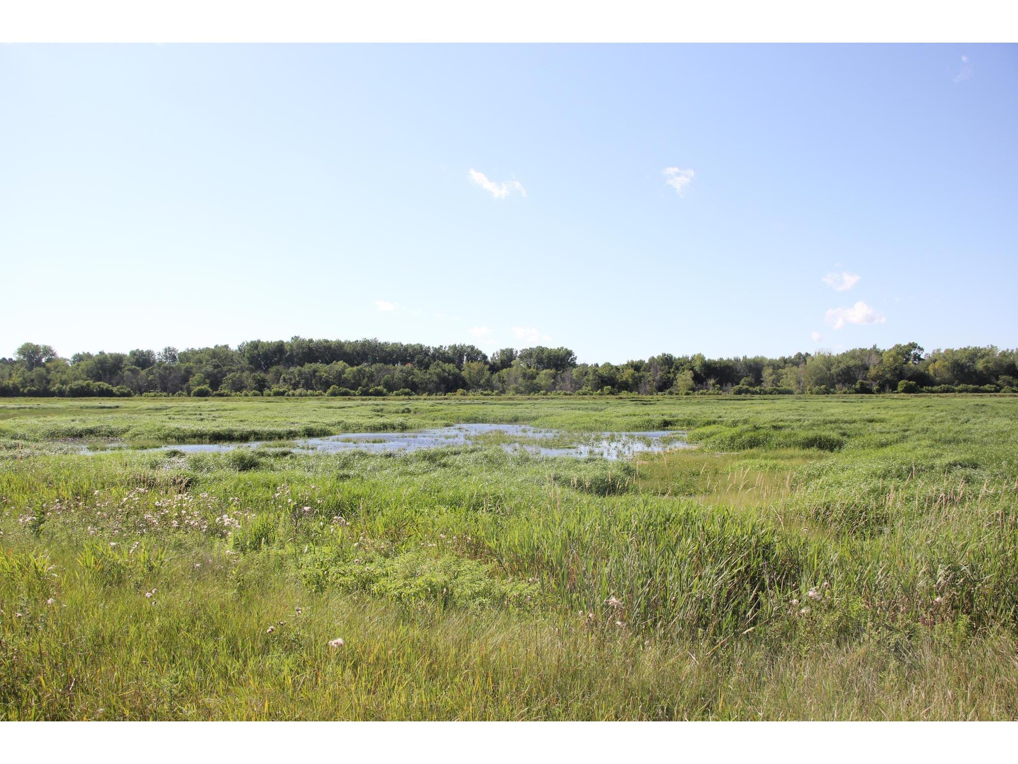 XXX State Hwy 99, Kasota Twp, MN, 56082 MLS 5331106 Edina Realty