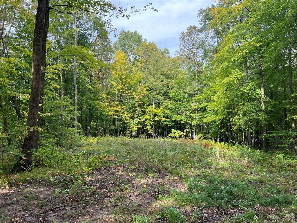 XXX Stowe Road Birchwood WI 54817 6605801 image1