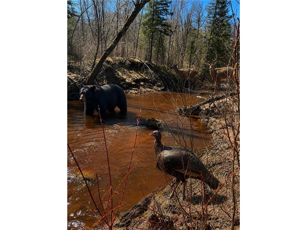 XXX TBD Barnum MN 55707 - Nemadji River 7074386 image1