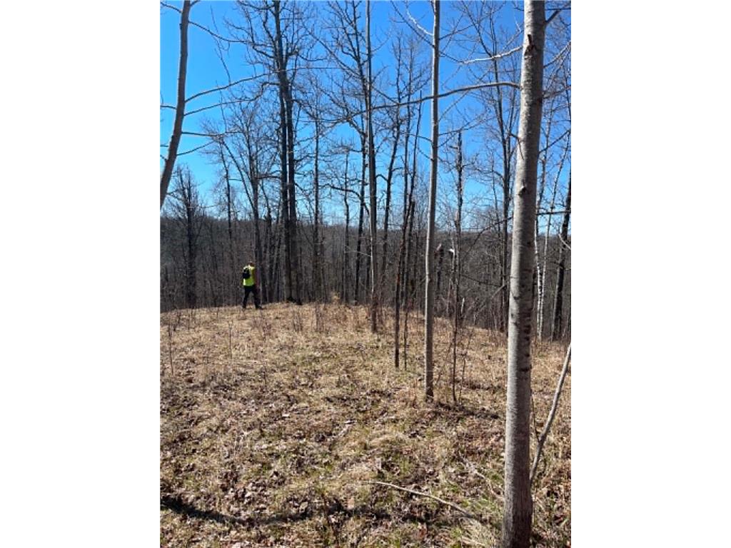 XXX TBD Barnum MN 55707 - Nemadji River 7074386 image12