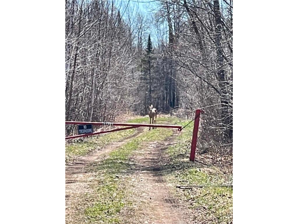 XXX TBD Barnum MN 55707 - Nemadji River 7074386 image14