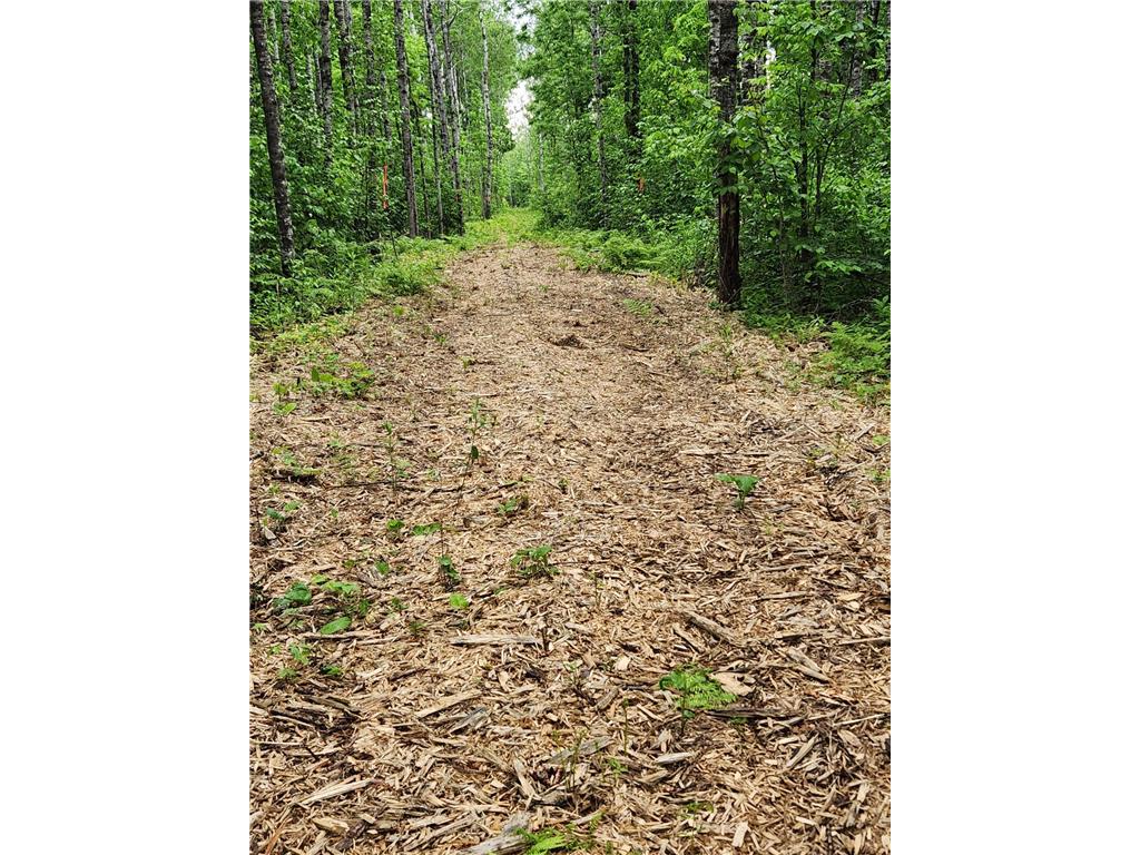 XXX Co Rd 8 Holyoke MN 55707 - Nemadji River 7074386 image21