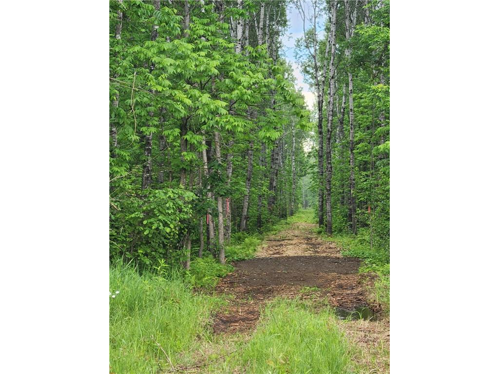 XXX Co Rd 8 Holyoke MN 55707 - Nemadji River 7074386 image22