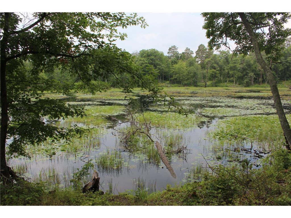 XXX TBD Mcgregor MN 55760 6396571 image1