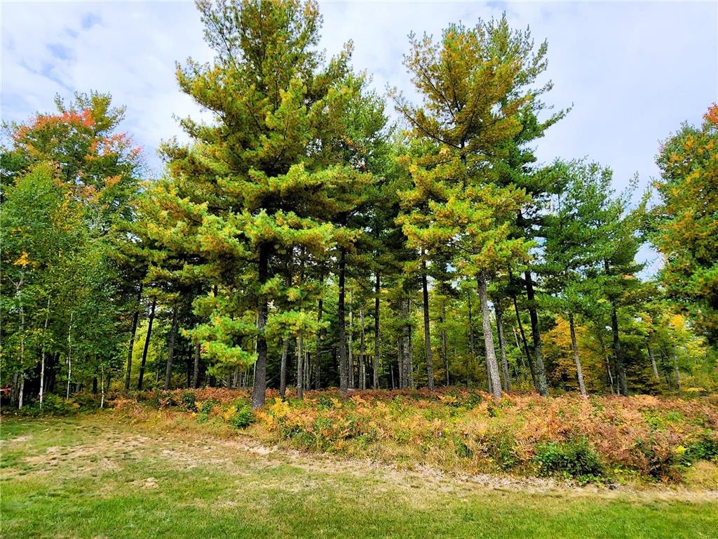 XXX TBD State Highway 84 NE Longville MN 56655 6439114 image1