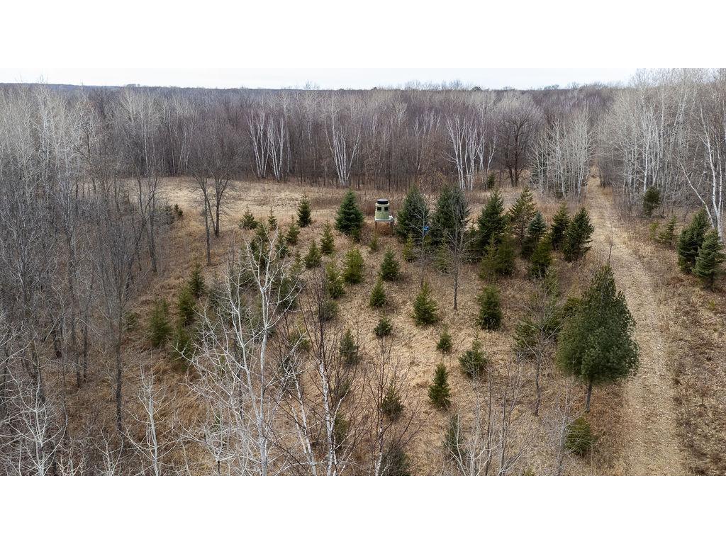 XXX Tamarac Road South Harbor Twp MN 56359 6692087 image1