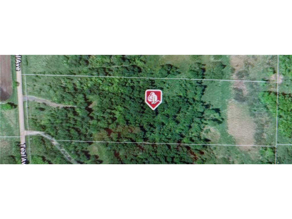 XXX Teal Shafer Twp MN 55074 6605880 image1