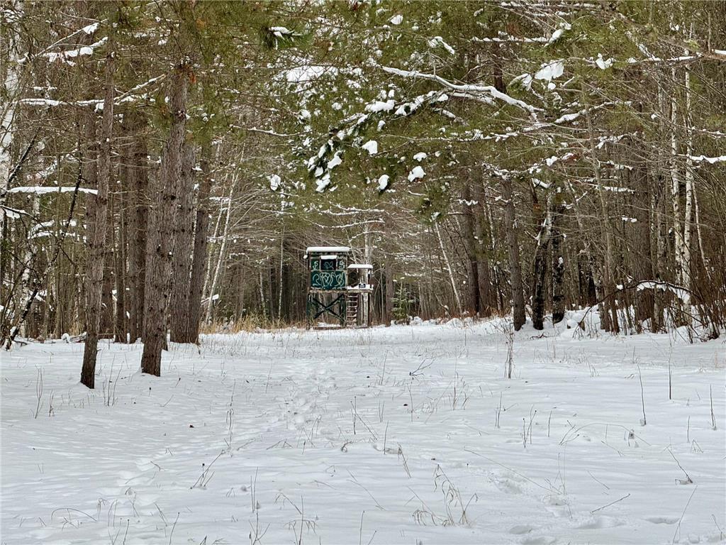 XXX Thompson Farm Rd Soudan MN 55782 6482212 image1