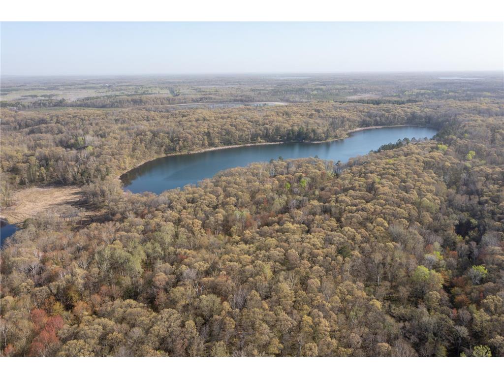 XXX Timber Ridge Drive Baxter MN 56425 - Mississippi 7074701 image10