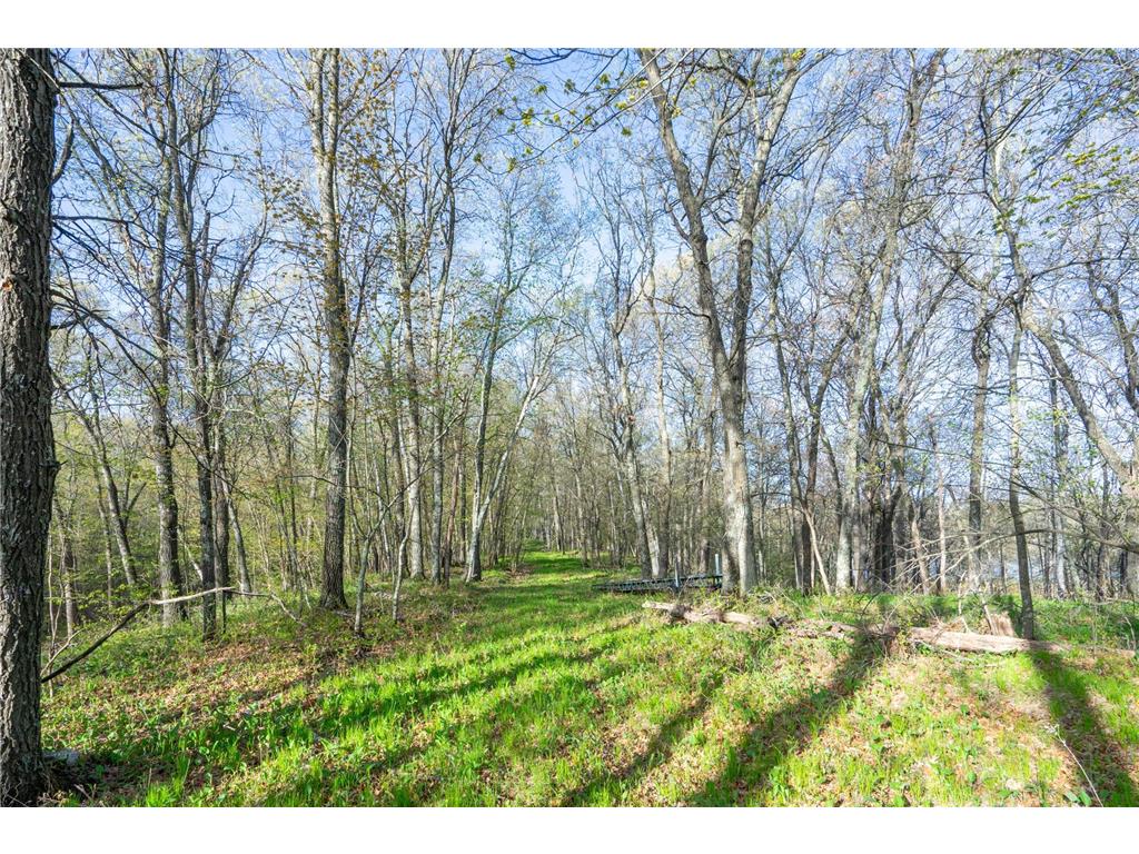 XXX Timber Ridge Drive Baxter MN 56425 - Mississippi 7074701 image13