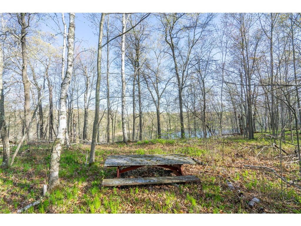 XXX Timber Ridge Drive Baxter MN 56425 - Mississippi 7074701 image14