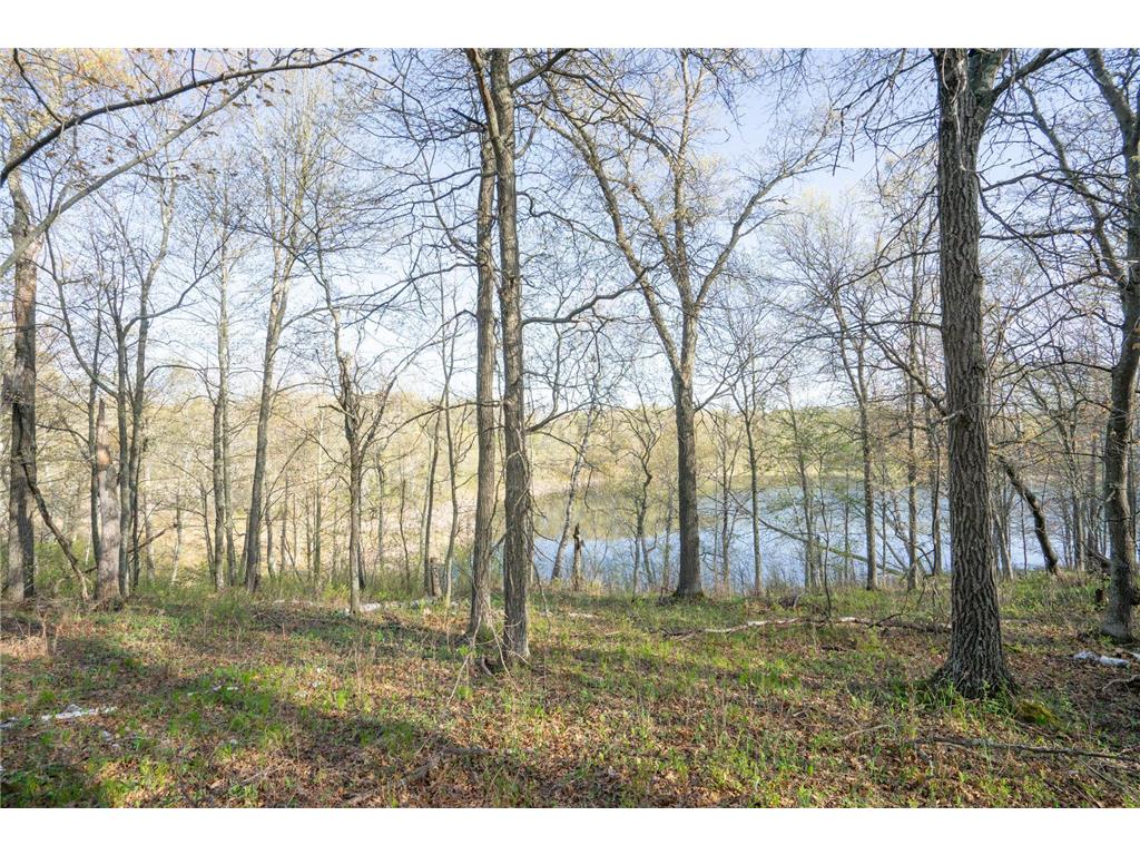 XXX Timber Ridge Drive Baxter MN 56425 - Mississippi 7074701 image15