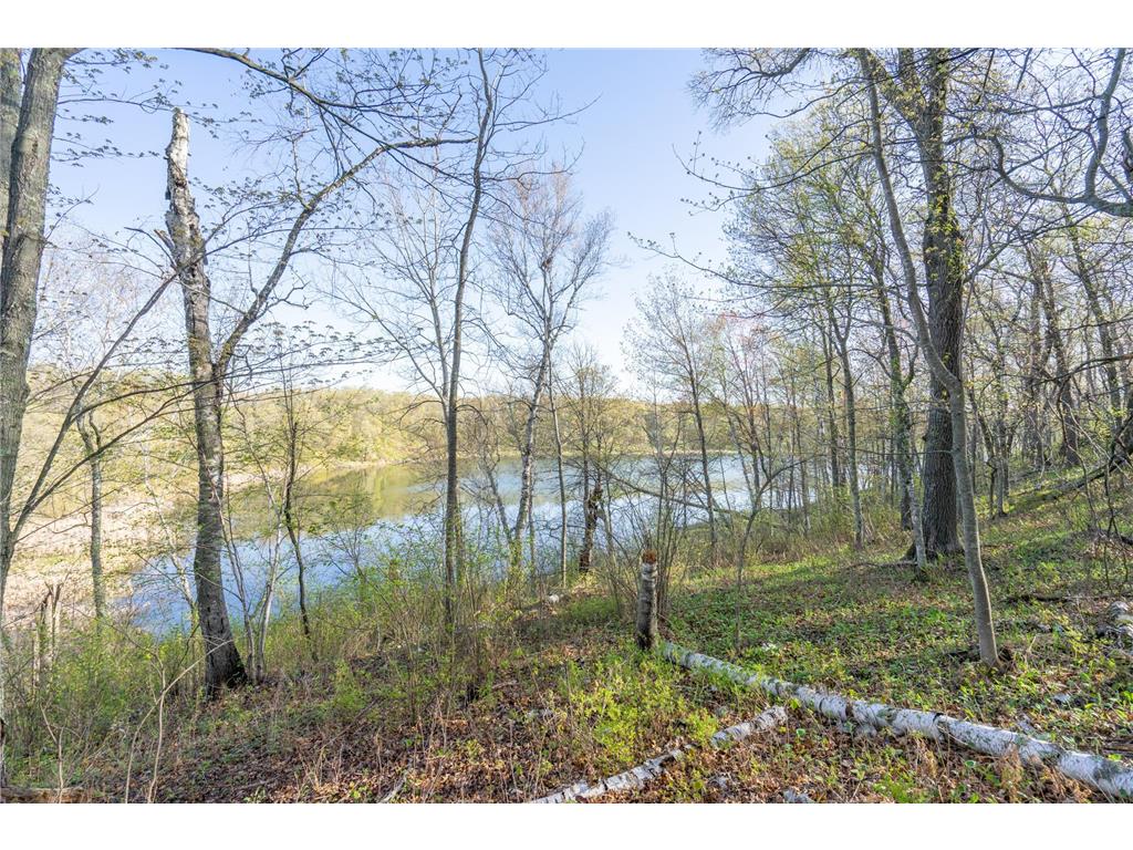 XXX Timber Ridge Drive Baxter MN 56425 - Mississippi 7074701 image16