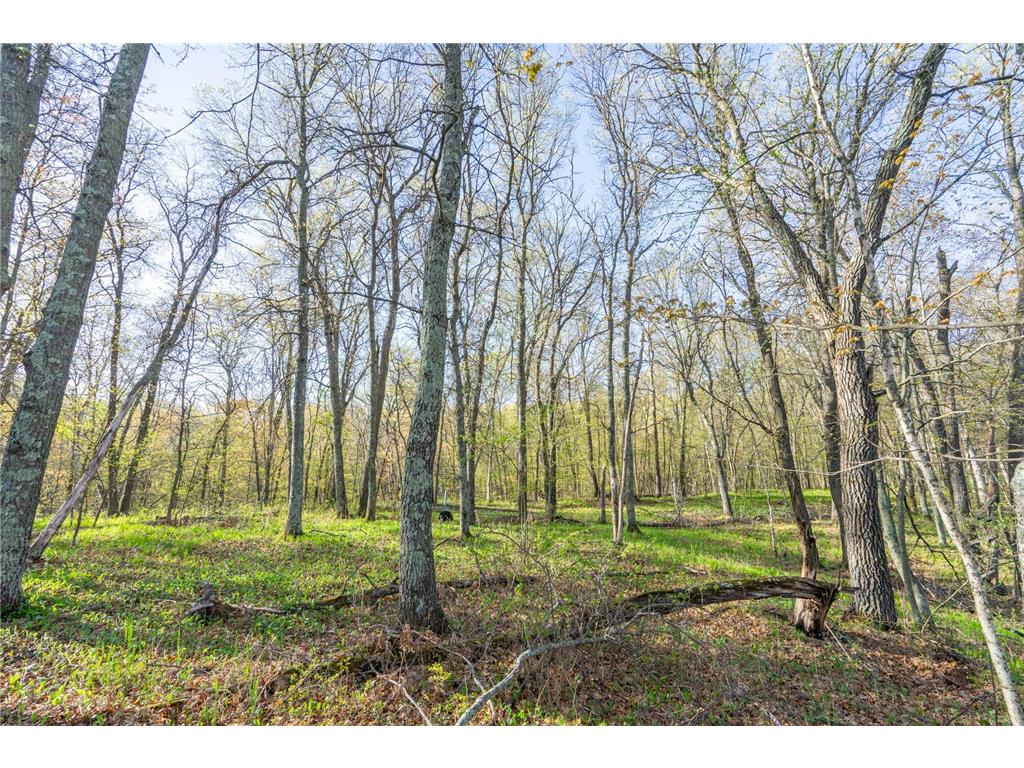 XXX Timber Ridge Drive Baxter MN 56425 - Mississippi 7074701 image17