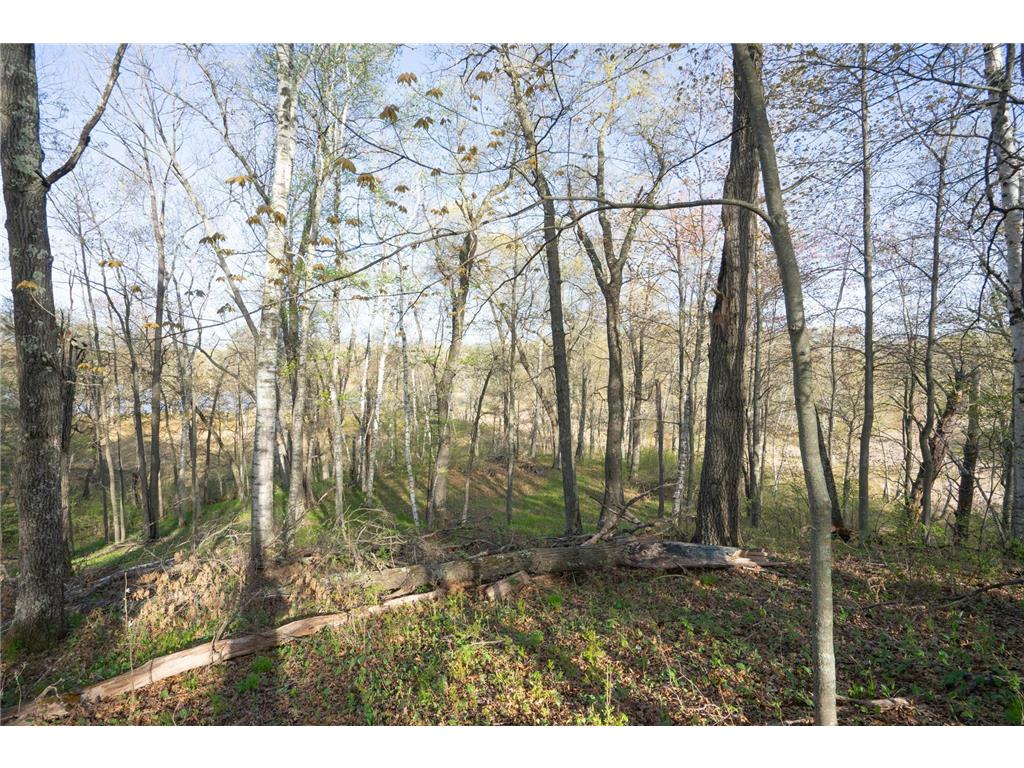 XXX Timber Ridge Drive Baxter MN 56425 - Mississippi 7074701 image18