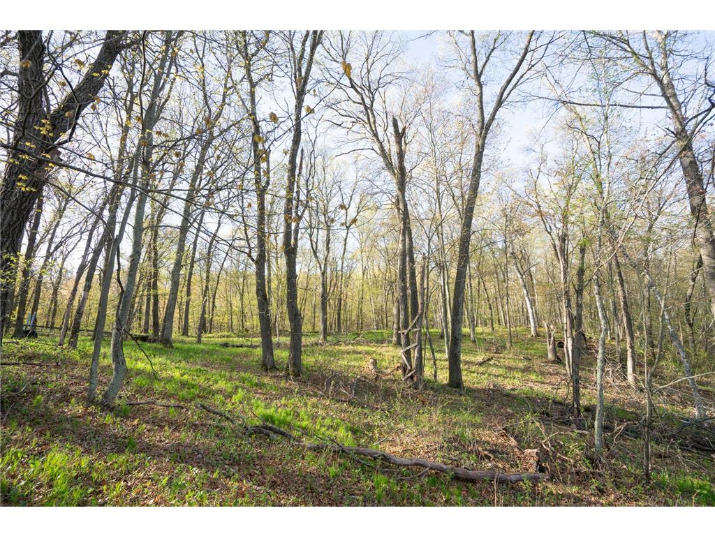 XXX Timber Ridge Drive Baxter MN 56425 - Mississippi 7074701 image19