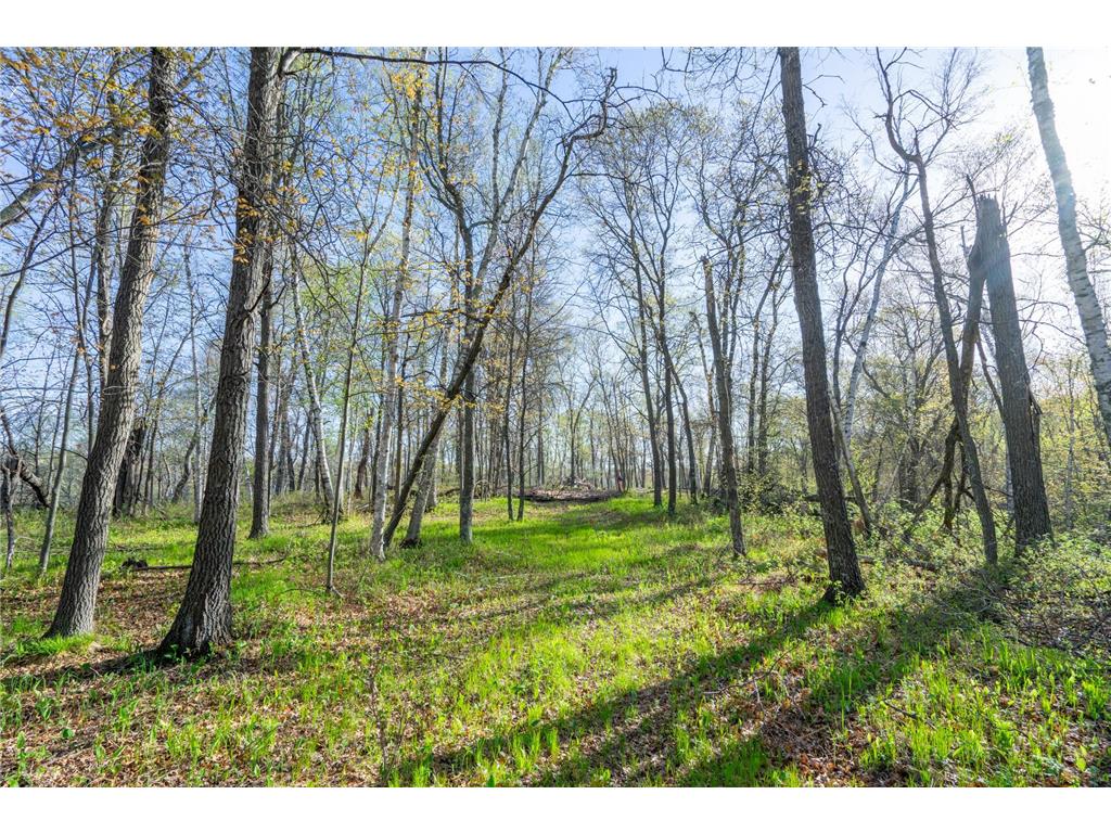 XXX Timber Ridge Drive Baxter MN 56425 - Mississippi 7074701 image20