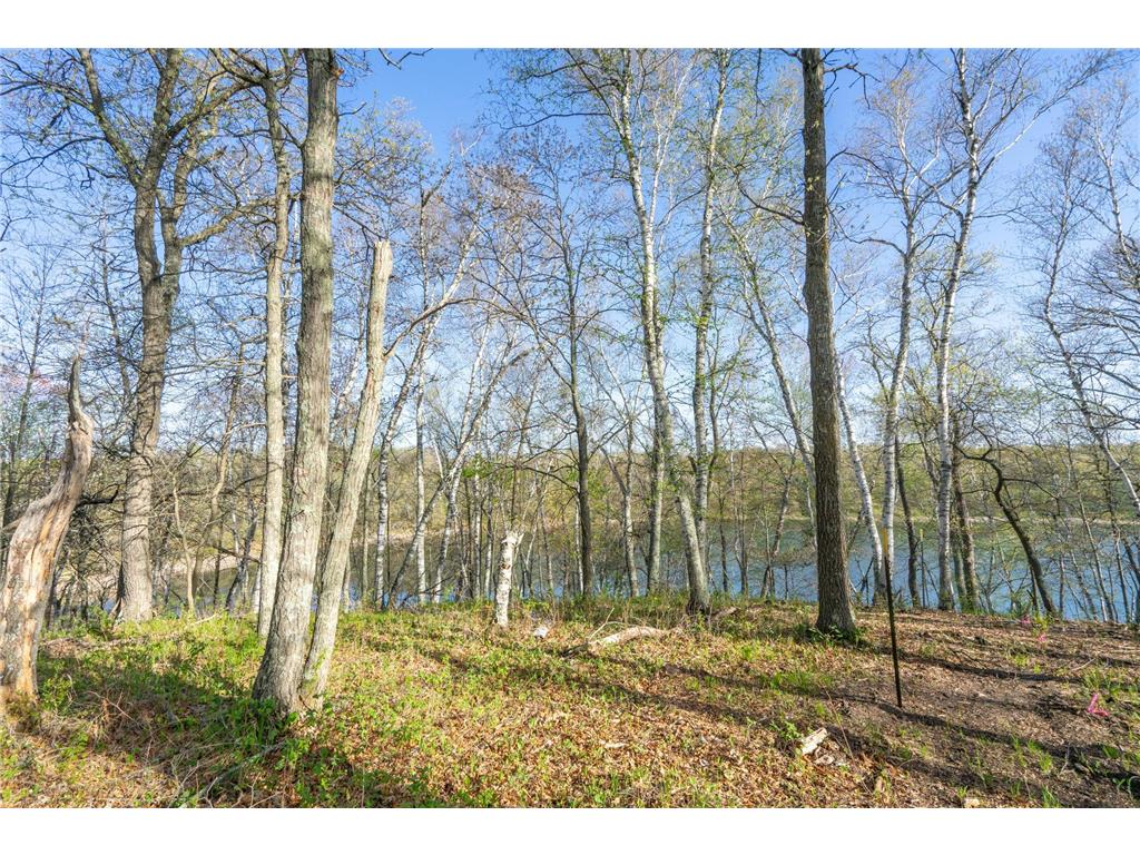 XXX Timber Ridge Drive Baxter MN 56425 - Mississippi 7074701 image21