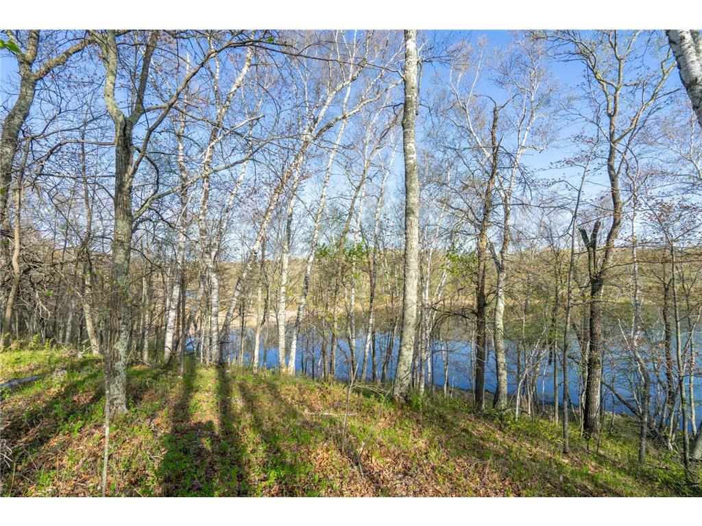 XXX Timber Ridge Drive Baxter MN 56425 - Mississippi 7074701 image22