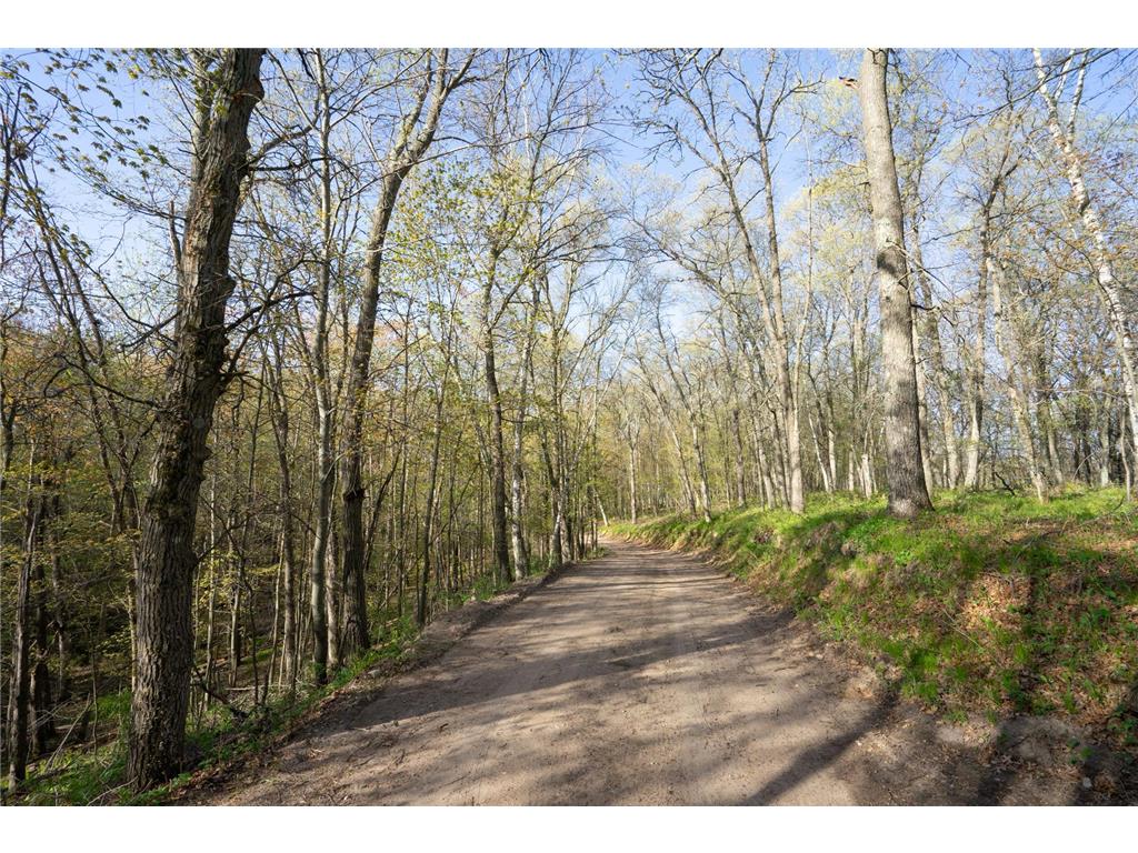XXX Timber Ridge Drive Baxter MN 56425 - Mississippi 7074701 image23