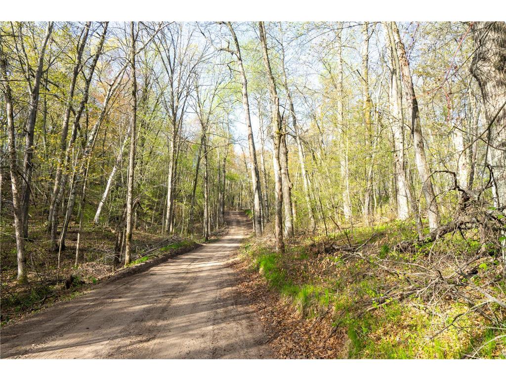 XXX Timber Ridge Drive Baxter MN 56425 - Mississippi 7074701 image24