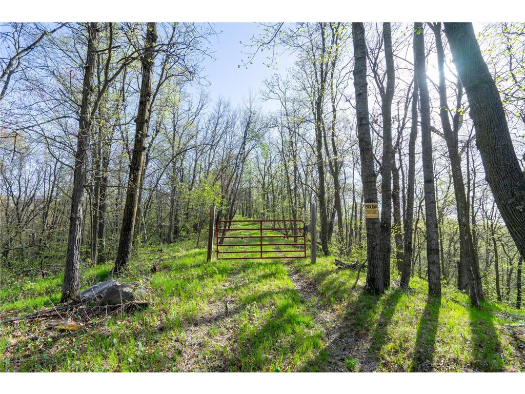 XXX Timber Ridge Drive Baxter MN 56425 - Mississippi 7074701 image25