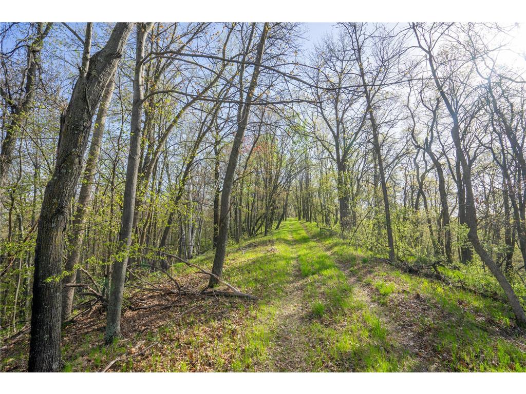 XXX Timber Ridge Drive Baxter MN 56425 - Mississippi 7074701 image26