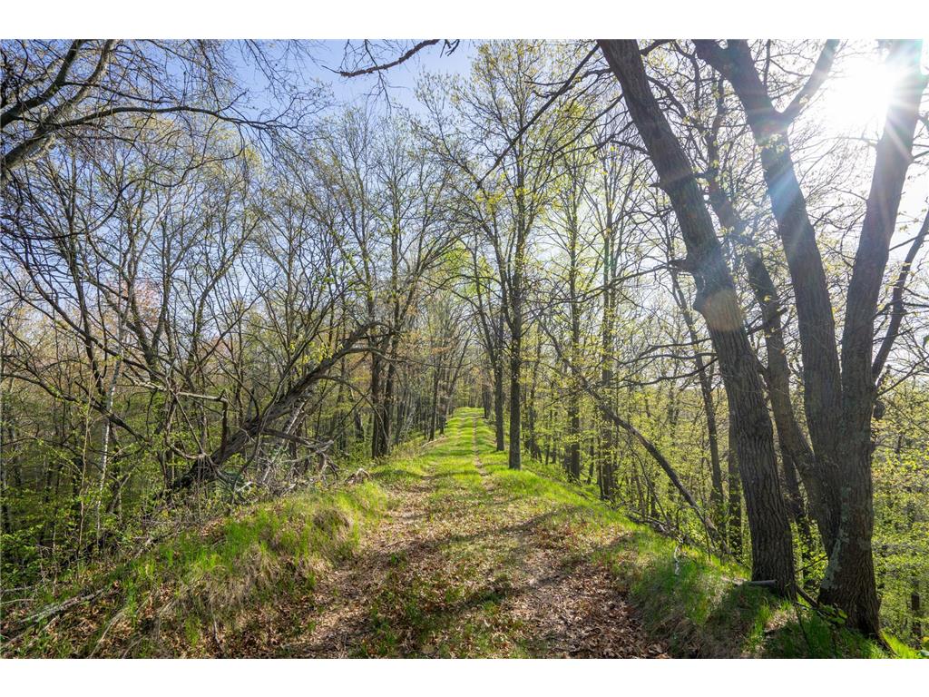 XXX Timber Ridge Drive Baxter MN 56425 - Mississippi 7074701 image27