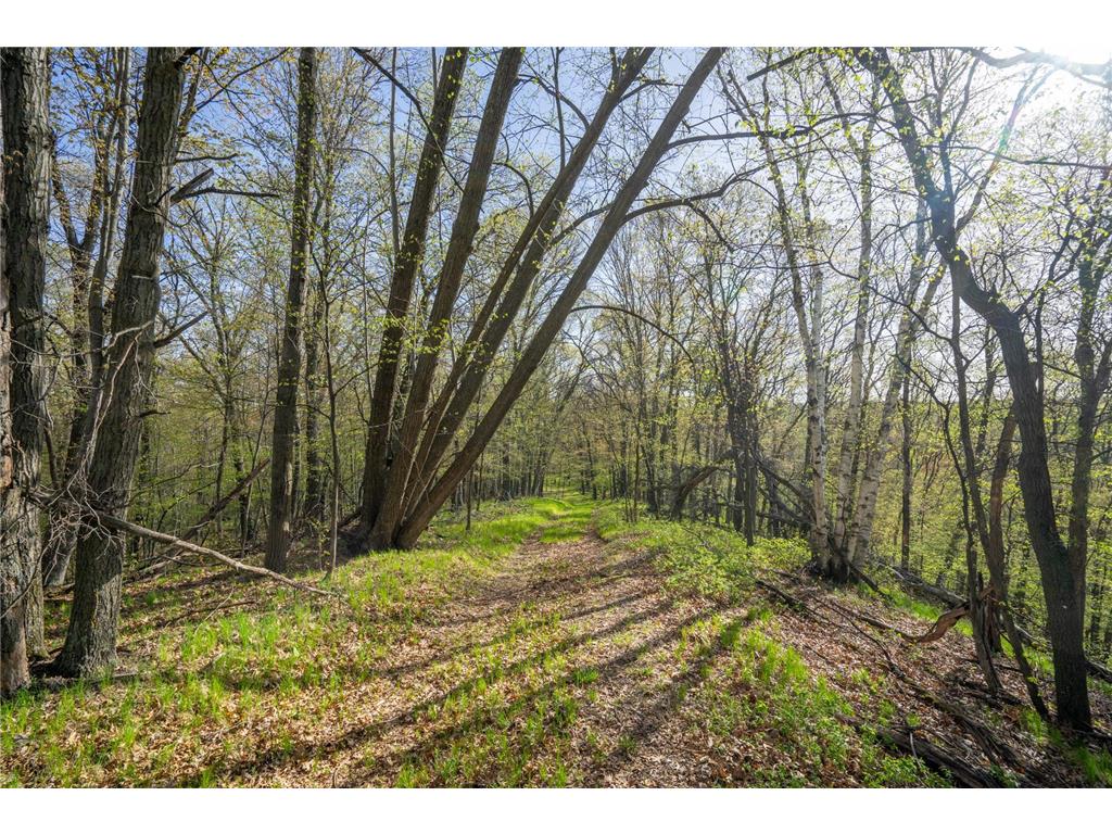 XXX Timber Ridge Drive Baxter MN 56425 - Mississippi 7074701 image28