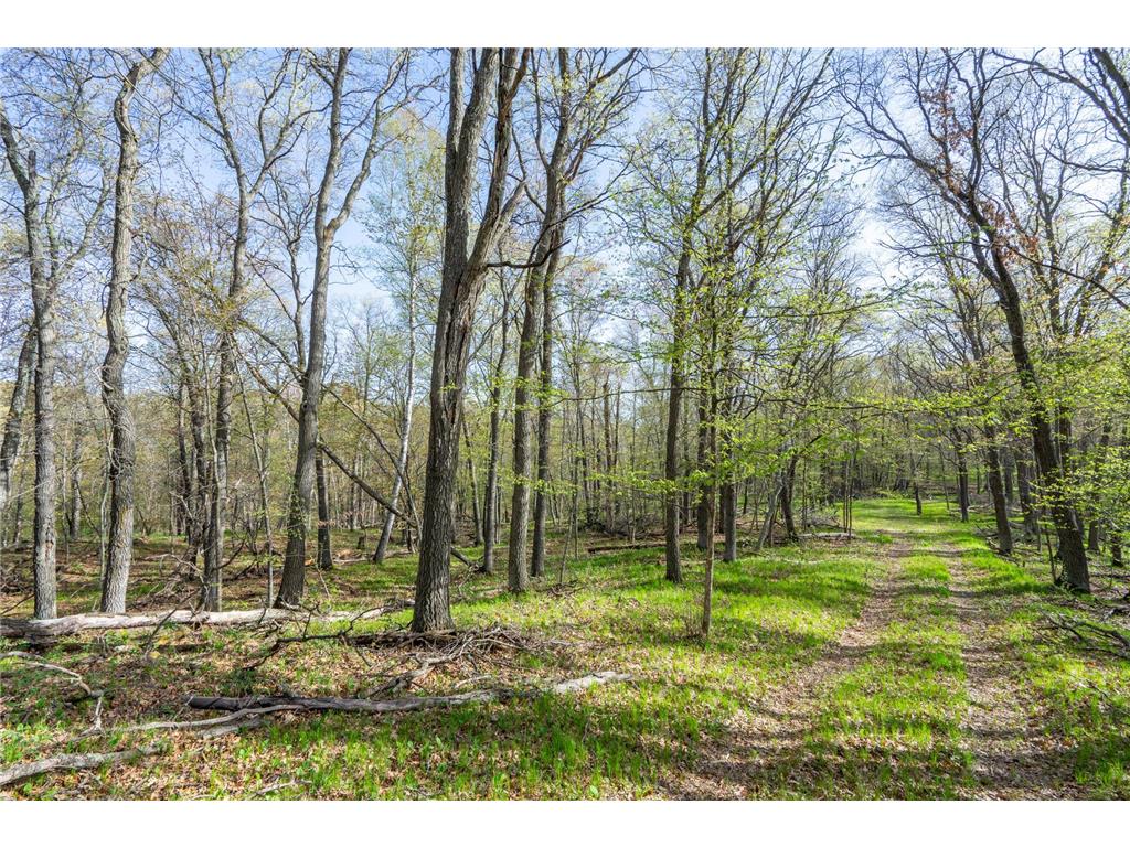 XXX Timber Ridge Drive Baxter MN 56425 - Mississippi 7074701 image29