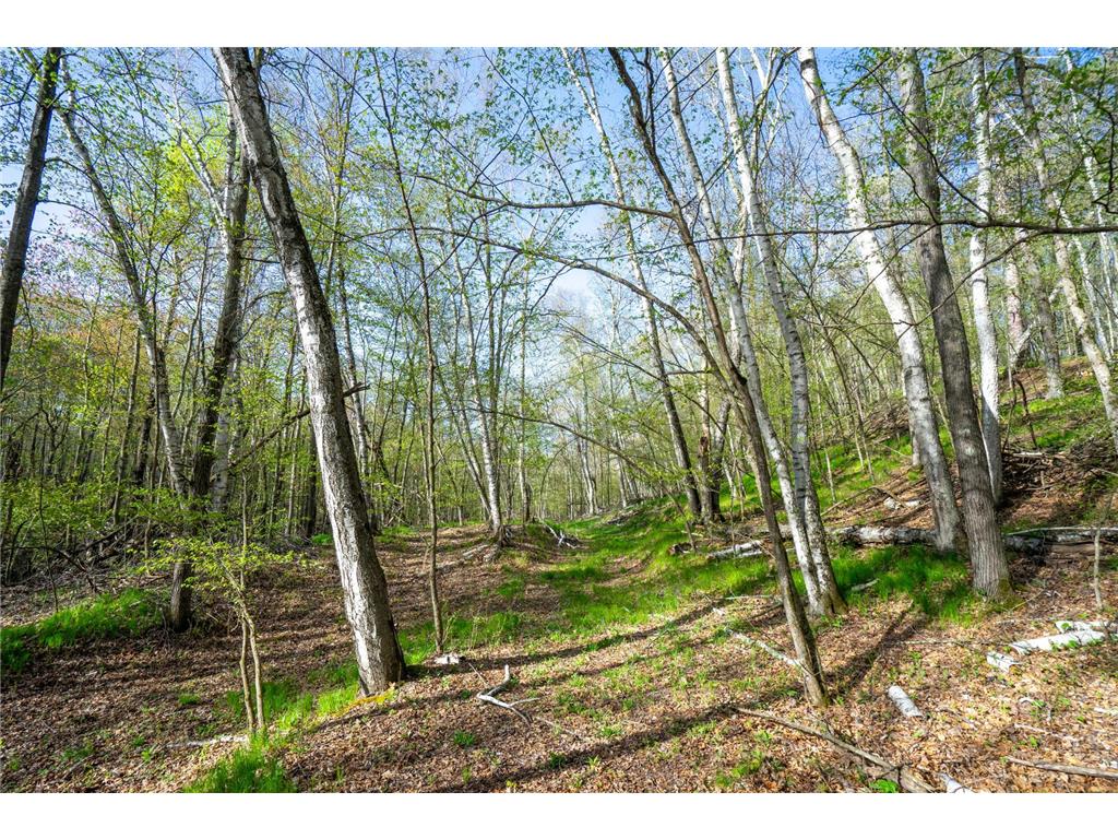 XXX Timber Ridge Drive Baxter MN 56425 - Mississippi 7074701 image30