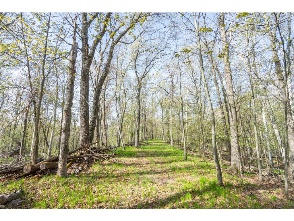 XXX Timber Ridge Drive Baxter MN 56425 - Mississippi 7074701 image31