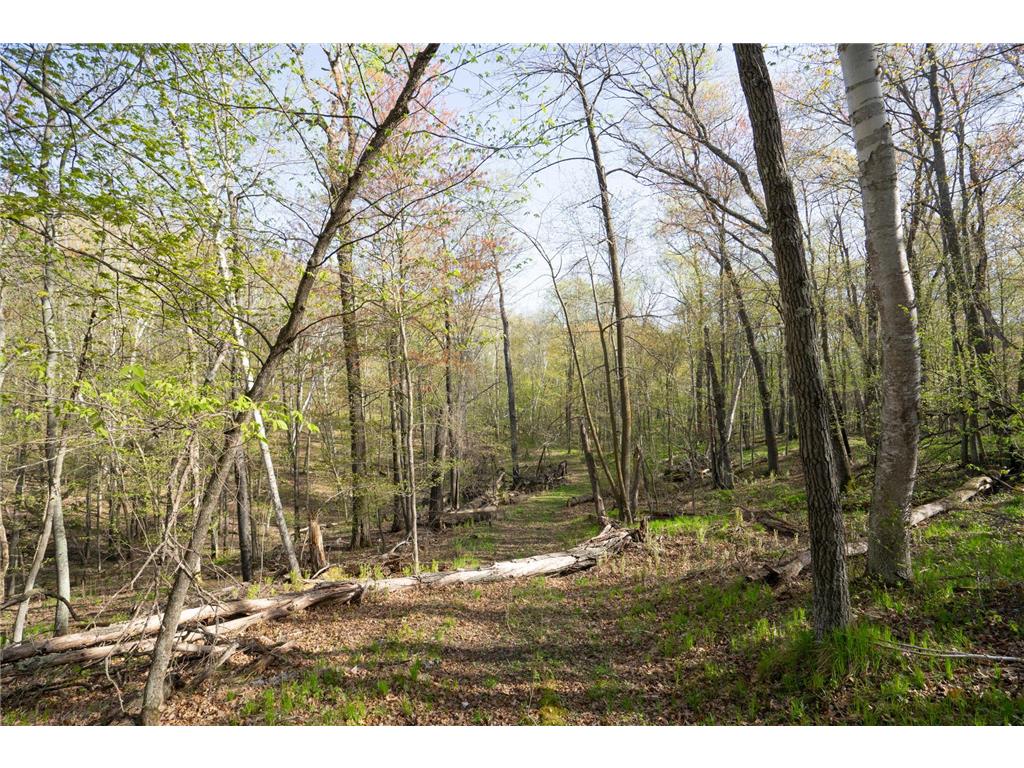 XXX Timber Ridge Drive Baxter MN 56425 - Mississippi 7074701 image32