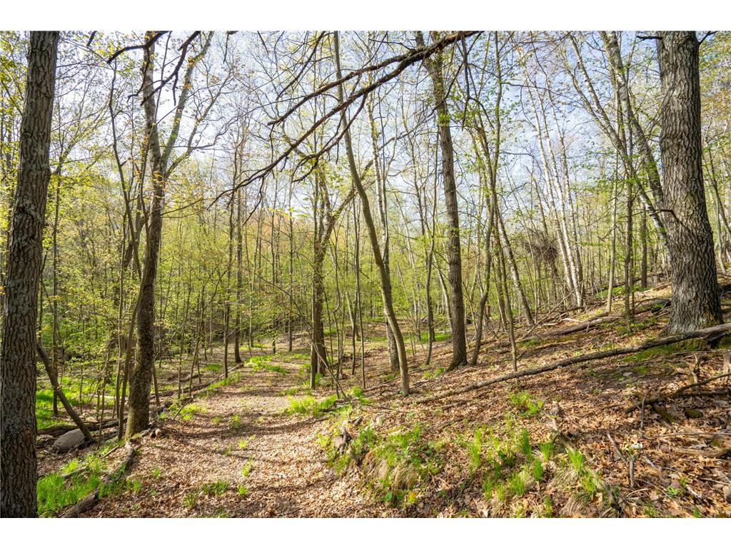 XXX Timber Ridge Drive Baxter MN 56425 - Mississippi 7074701 image33