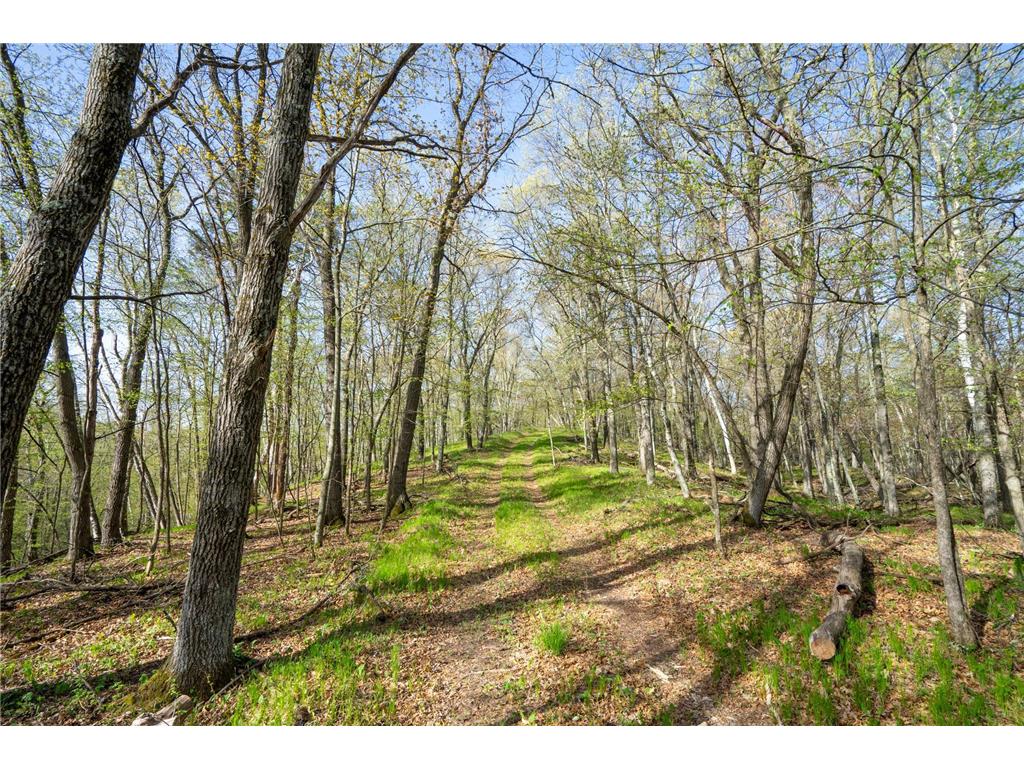 XXX Timber Ridge Drive Baxter MN 56425 - Mississippi 7074701 image34