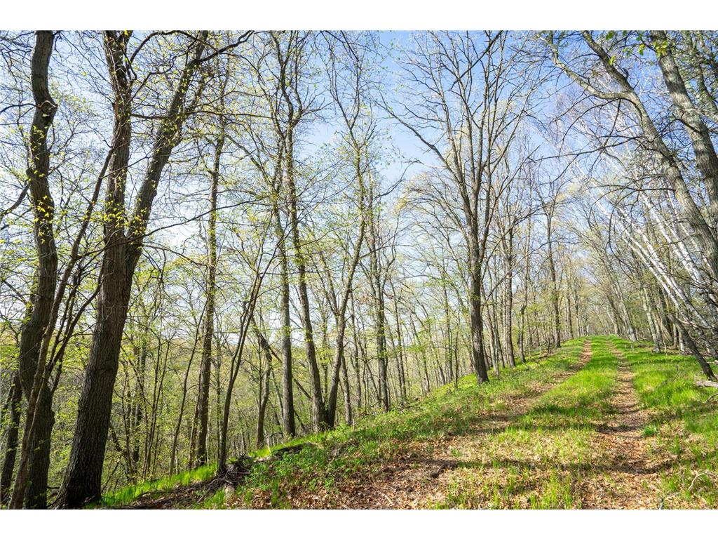 XXX Timber Ridge Drive Baxter MN 56425 - Mississippi 7074701 image35