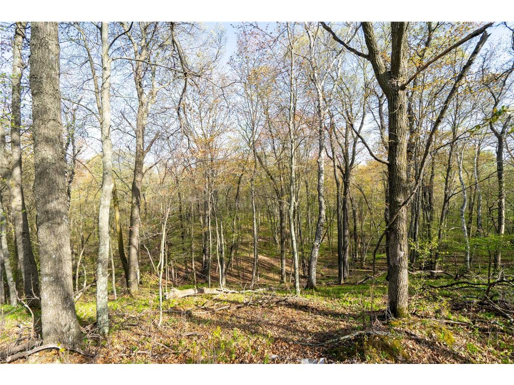 XXX Timber Ridge Drive Baxter MN 56425 - Mississippi 7074701 image36