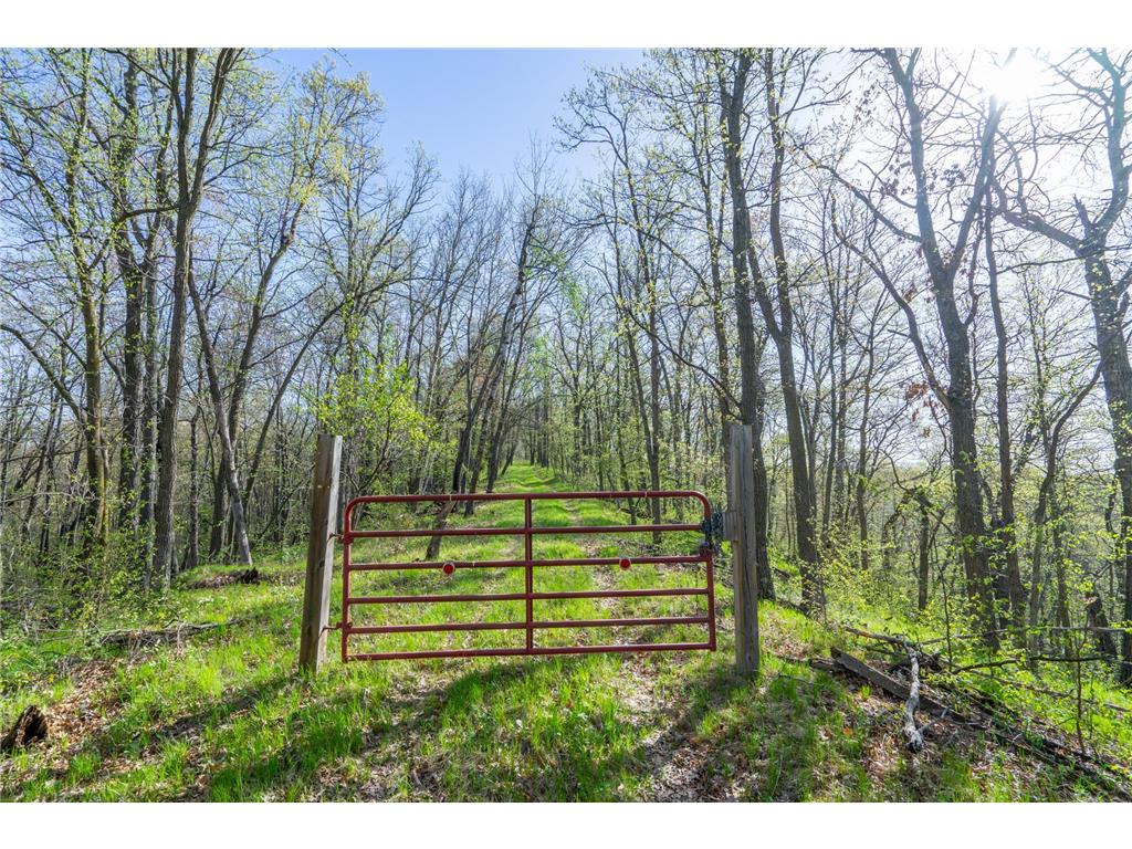 XXX Timber Ridge Drive Baxter MN 56425 - Mississippi 7074701 image37