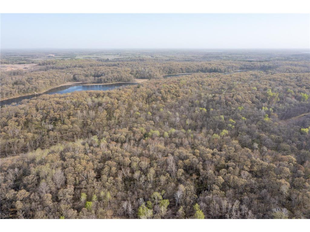 XXX Timber Ridge Drive Baxter MN 56425 - Mississippi 7074701 image7
