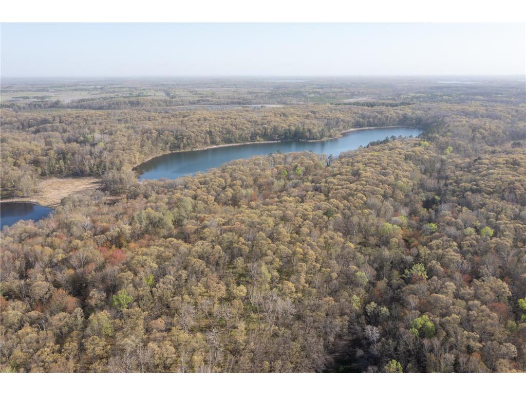 XXX Timber Ridge Drive Baxter MN 56425 - Mississippi 7074701 image9