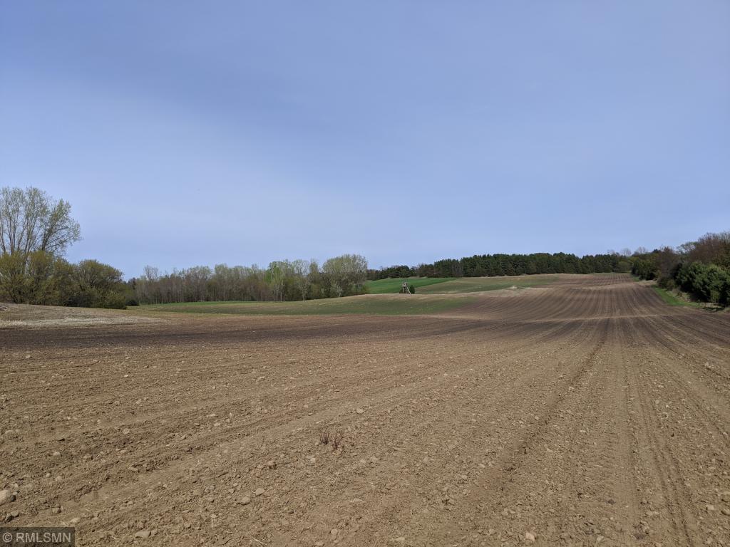 XXX Tower Road Hudson WI 54016 6266950 image6