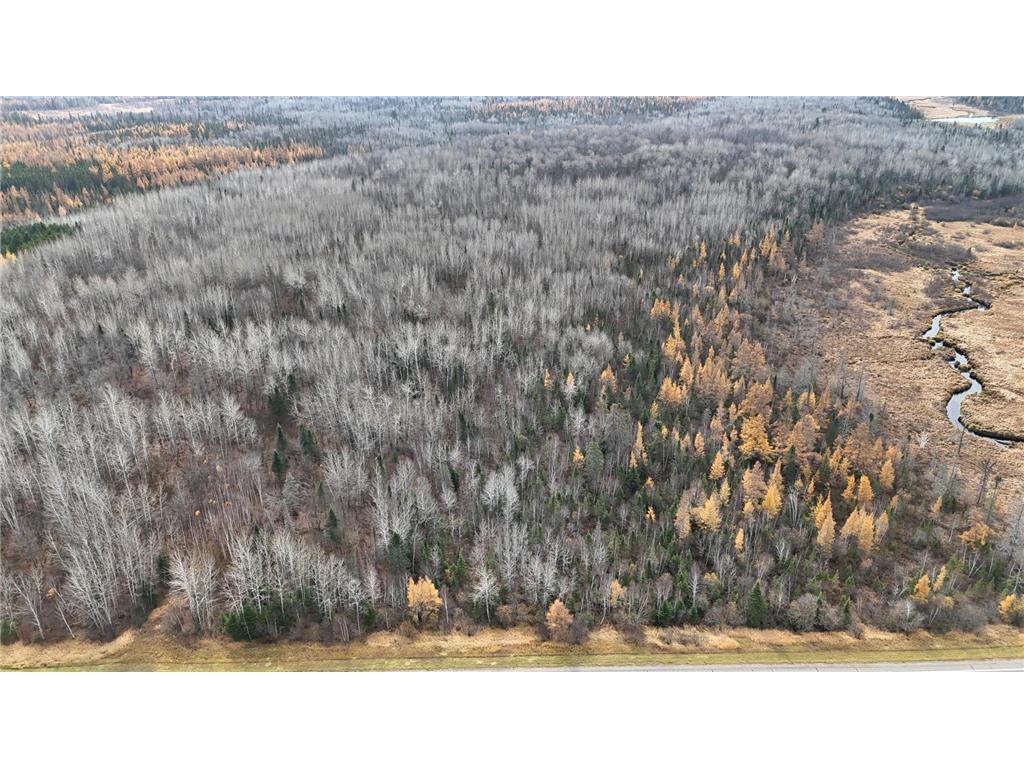XXX Town Line Rd Brimson MN 55602 6655622 image1