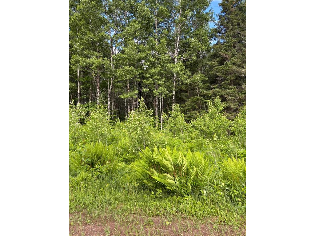 XXX Town Line Road Bassett Twp MN 55602 7093057 image2