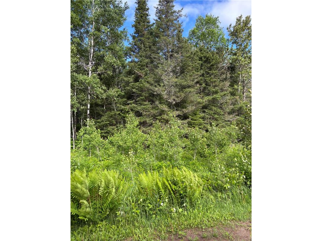 XXX Town Line Road Bassett Twp MN 55602 7093057 image3